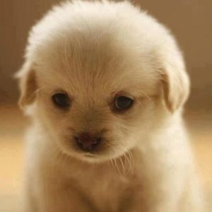 Meet your Posher, Ciara